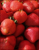 Contact Lindsay for an appointment