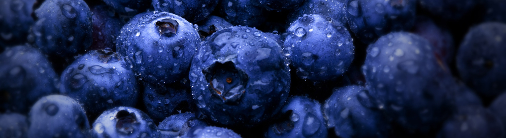 Lose weight and control cholesterol and diabetes through sound nutrition