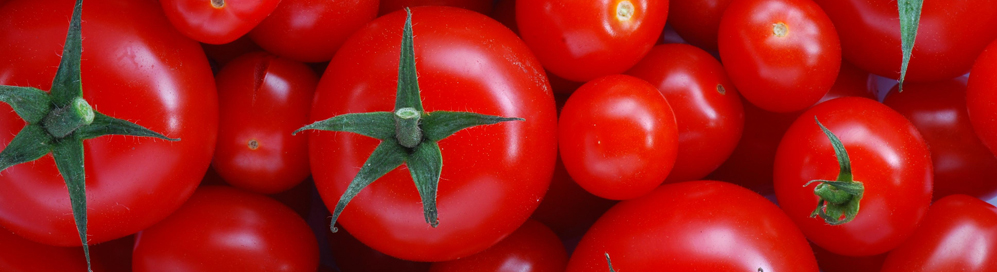 Overcome obesity and poor health with a better diet and a more positive outlook