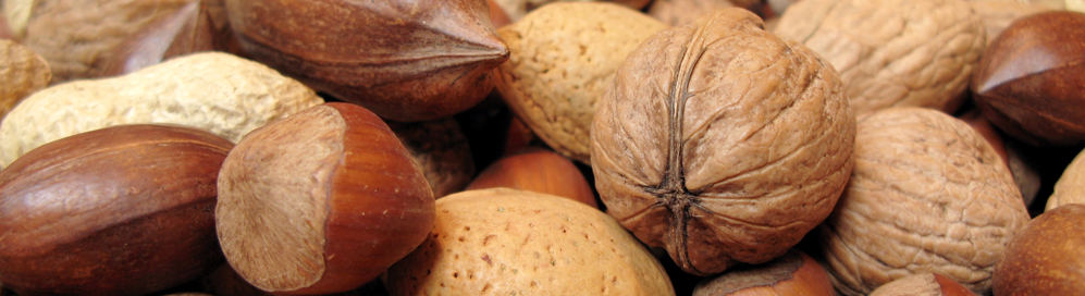 Eating and gastrointestinal disorders improved or eliminated by eating right